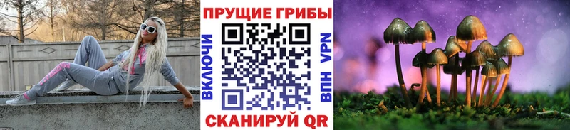 Псилоцибиновые грибы мицелий Певек